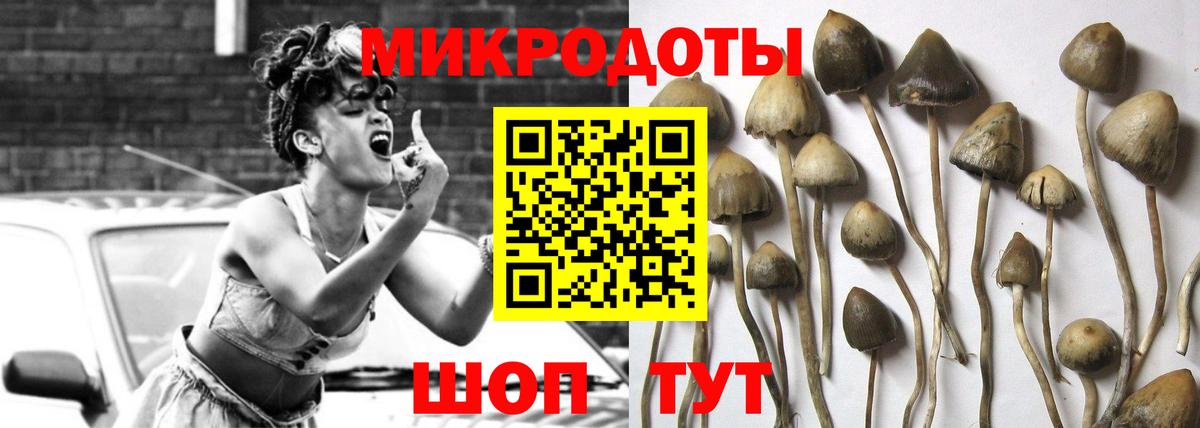 Киров  Псилоцибиновые грибы мицелий  Вход с VPN 