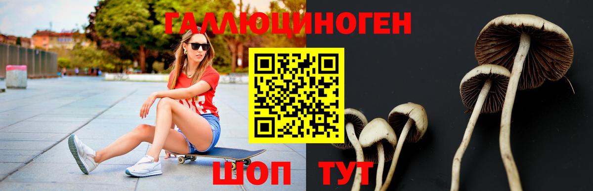 Псилоцибиновые грибы прущие грибы Киров